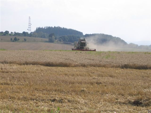 Troubelice 2006 089.jpg